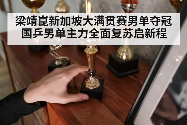梁靖崑新加坡大满贯赛男单夺冠 国乒男单主力全面复苏启新程