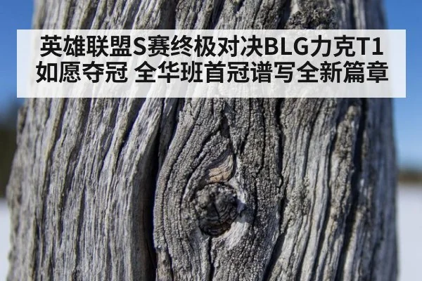 英雄联盟S赛终极对决BLG力克T1如愿夺冠 全华班首冠谱写全新篇章